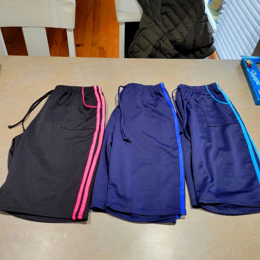 Track shorts lot